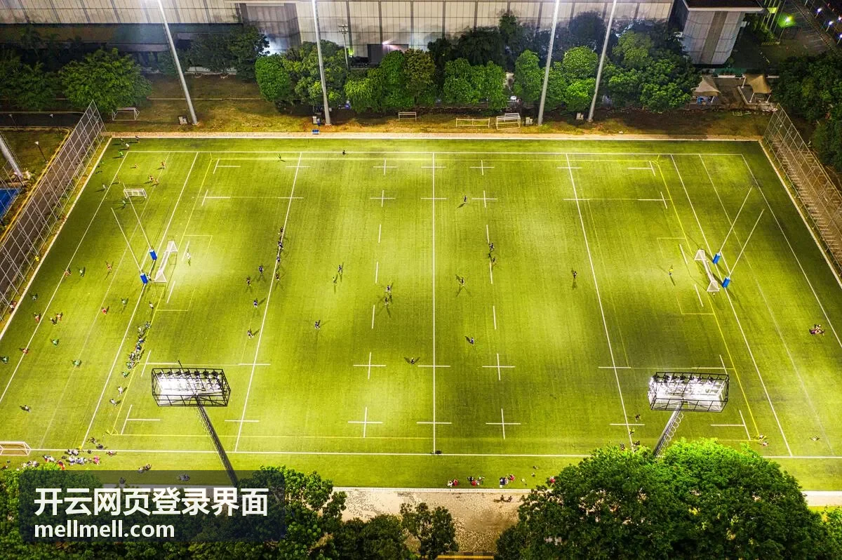 开云网页登录界面权益生效流程示意